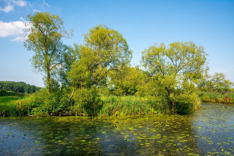 Zone de protection du paysage appelée Goachat près de Schrobenhausen en Bavière par ManfredFotos