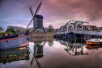 Molen De Put in Leiden