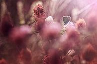 Look at all beings with eyes of compassion by Bob Daalder thumbnail