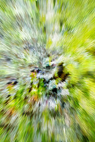Digital image
