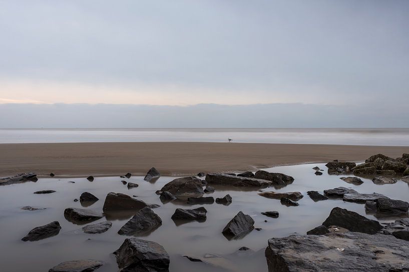 Blick über Felsen, Strand und Meer an der belgischen Nordseeküste von Anouschka Hendriks