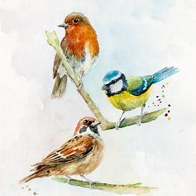 Gartenvögel Rotkehlchen, Blaumeise und Sperling von Atelier DT