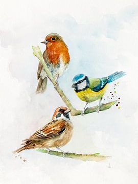 Gartenvögel Rotkehlchen, Blaumeise und Sperling von Atelier DT