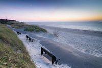 Kustlandschap op Föhr, Duitse Noordzeekust