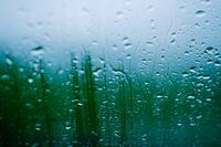 Pluie sur les vitres
