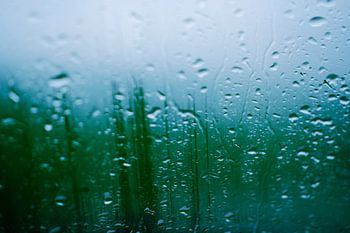 Rain on window glass