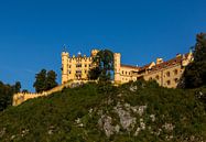 Schloss Hohenschwangau von Remko Bochem Miniaturansicht