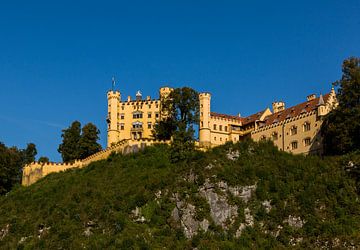 Schloss Hohenschwangau van Remko Bochem