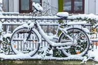 Besneeuwde geparkeerde fiets bij een tuinhek, Bremen, Duitsland, Europa van Torsten Krüger thumbnail
