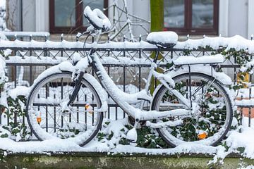 Verschneites parkendes Fahrrad an einem Gartenzaun, Bremen, Deutschland, Europa