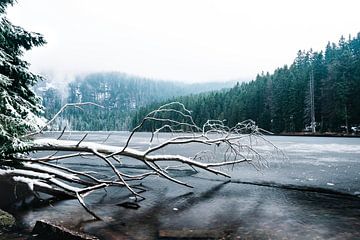 Frostiger See von Christian Späth