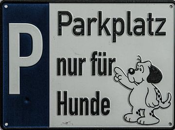 Parkplatz nur für Hunde von Norbert Sülzner