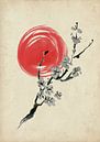 Cherry Blossom by Lucia thumbnail