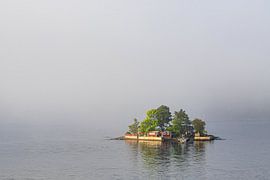 Island with fog in the archipelago off Stockholm, Sweden by Rico Ködder
