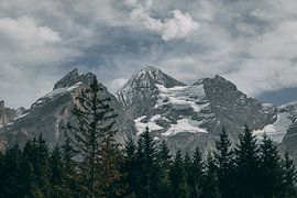 Highland van Marco Andreani