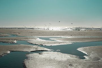 Texel 'Stille stappen' van Foto Studio Labie