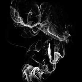 Delicate rook van Ina Fischer