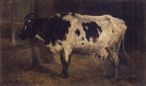 Vache, André Plumot
