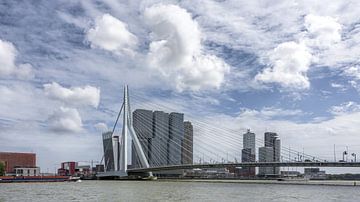 Rotterdam Erasmusbrug (Color)
