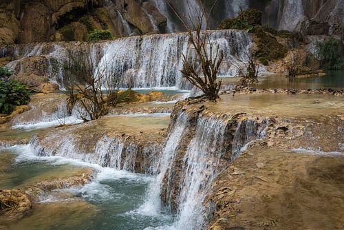 Boompjes bij de waterval Kuang Si, Laos