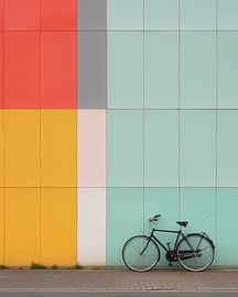 Stadtfahrrad, Farbenpracht