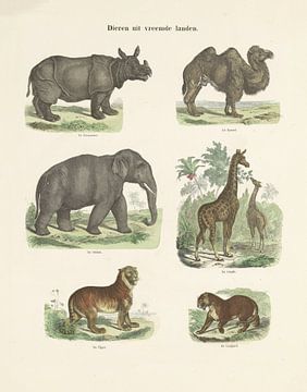 Dieren uit vreemde landen van Ernst Fröhlich, c. 1820 - 1843 (kleurenversie)