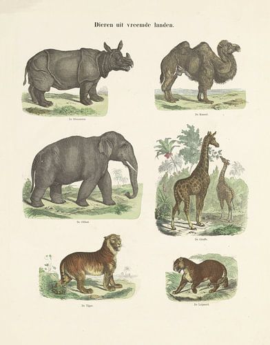 Animaux de pays étrangers par Ernst Fröhlich, c. 1820 - 1843 (version couleur)