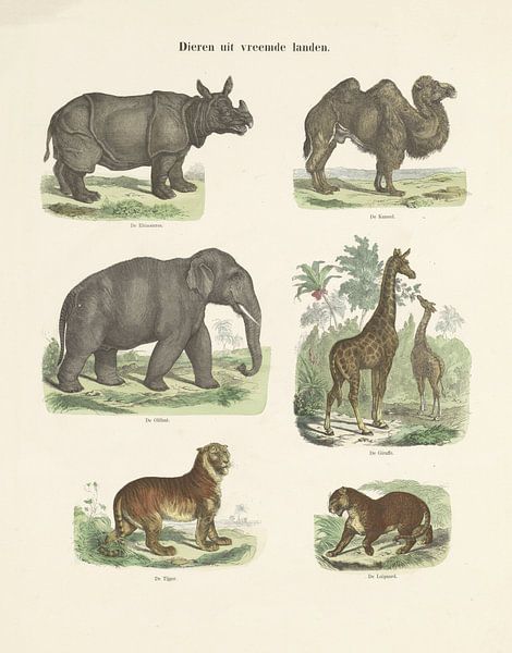 Dieren uit vreemde landen van Ernst Fröhlich, c. 1820 - 1843 (kleurenversie) van Gave Meesters