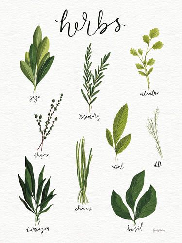 Herbs I White Crop, Becky Thorns