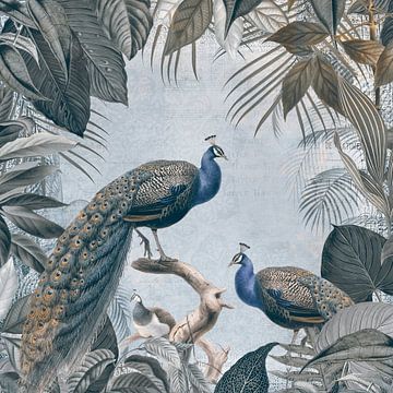 Peacocks in Paradise van Andrea Haase