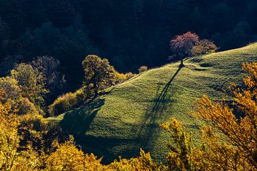 Herbst im Schwarzwald von Werner Dieterich