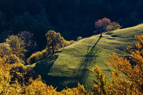 Automne en Forêt-Noire