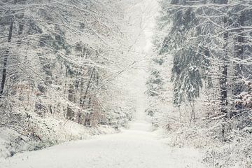 Wandelpad in het besneeuwde bos van Tobias Luxberg