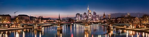 Frankfurt skyline in het avondlicht