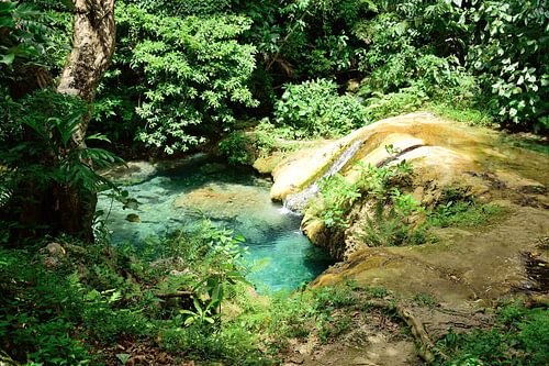 Een natuurlijke glijbaan in de jungle