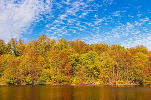 Blick über den See Schmaler Luzin auf die herbstliche Feldberge von Rico Ködder