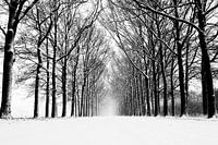 Gravenallee