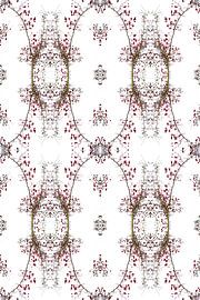 Baies rouges sur Akira Peperkamp