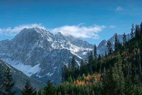 Waar herfst en winter elkaar ontmoeten