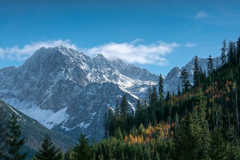 Wo sich Herbst und Winter treffen von Maarten Mensink