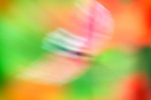 Floral abstrait