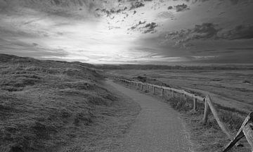 Fußweg ( Texel ) in schwarz-weiß. von Jose Lok