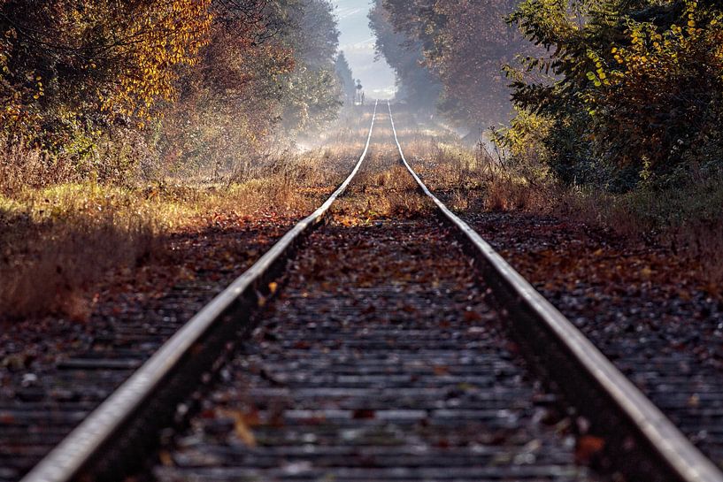 Endless track by Rob Boon