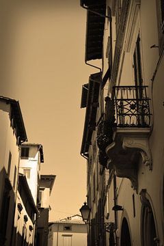 Tuscany Italy Lucca Downtown Sepia