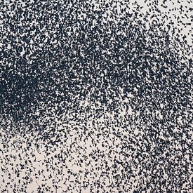In de kern van een spreeuwenwolk van Chris Biesheuvel I  Dream Scapes