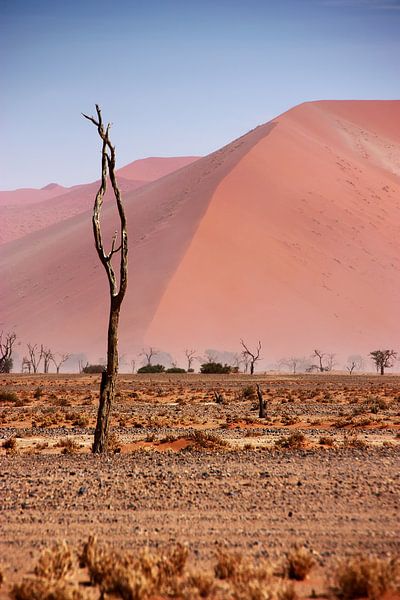 NAMIBIA ... pastel tones II van Meleah Fotografie