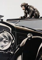 Der Affe und der Bentley