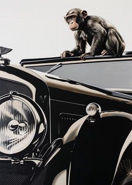 Le singe et la Bentley sur Andreas Magnusson