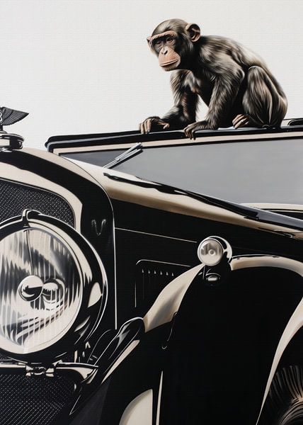 Monkey and the Bentley by Andreas Magnusson