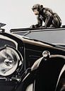 Monkey and the Bentley by Andreas Magnusson thumbnail